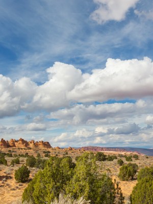 2nd Edition Released&nbsp;today!