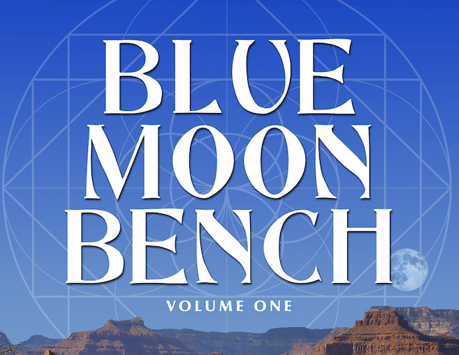 Blue Moon Bench cover